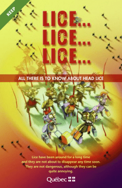 Head lice