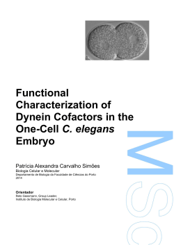 Functional Characterization of Dynein Cofactors in the One