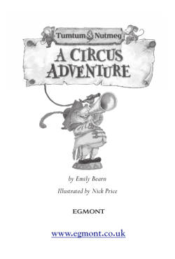 a sample chapter