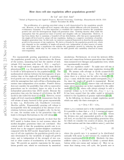 How does cell size regulation affect population growth?