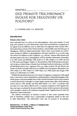 DID PRIMATE TRICHROMACY EVOLVE FOR FRUGIVORY OR