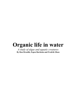 Organic life in water