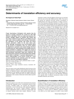 Determinants of translation efficiency and accuracy
