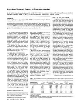 Root-Knot Nematode Damage to Dioscorea rotundata