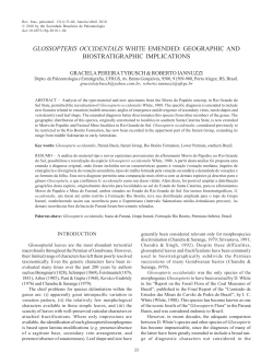 glossopteris occidentalis white emended: geographic and