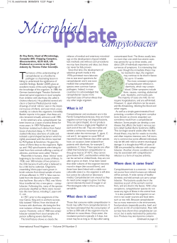 Campylobacter - Thermo Fisher Scientific