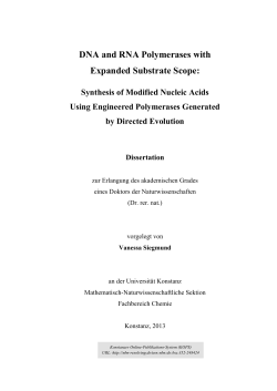DNA and RNA Polymerases with Expanded Substrate Scope