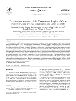 The conserved structures of the 5! nontranslated region of Citrus
