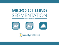 micro ct lung - AnalyzeDirect.com