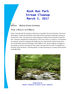 Rush Run Cleanup - Sharon Township