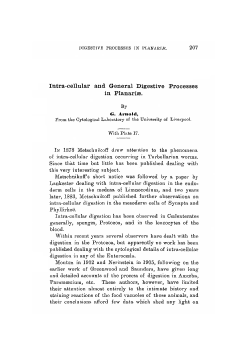 Intra-cellular and General Digestive Processes in Planarise.