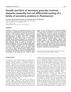 Secretory granule biogenesis in Paramecium
