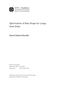 Optimization of Bow Shape for Large, Slow Ships - Til Daim