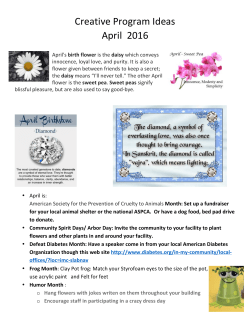 Creative Program Ideas April 2016