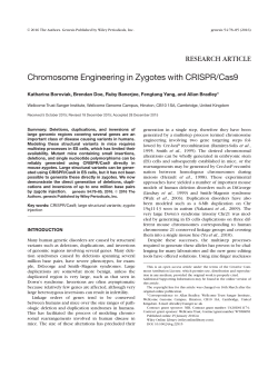 Chromosome Engineering in Zygotes with