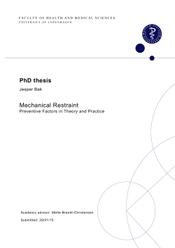 PhD thesis Mechanical Restraint