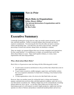 Executive Summary - Black Holes in Organizations by Ron Lutka