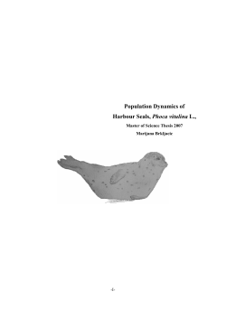 Population Dynamics of Harbour Seals, Phoca vitulina L.,