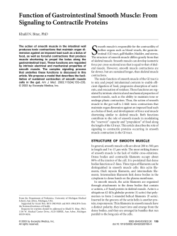 Function of Gastrointestinal Smooth Muscle