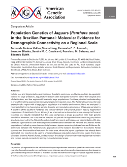 Population Genetics of Jaguars (Panthera onca) in the Brazilian
