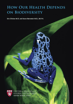 How Our Health Depends on Biodiversity