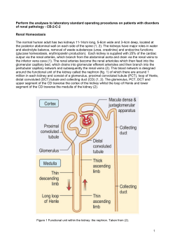 Perform the analyses to laboratory standard operating procedures