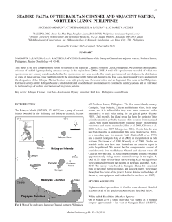 PDF - Marine Ornithology