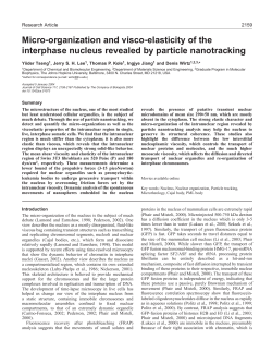 Micro-organization and visco-elasticity of the interphase nucleus
