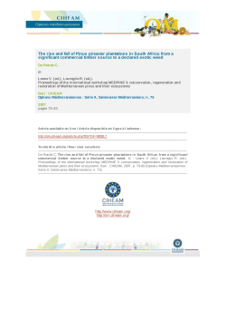 THE RISE AND FALL OF PINUS PINASTER PLANTATIONS IN