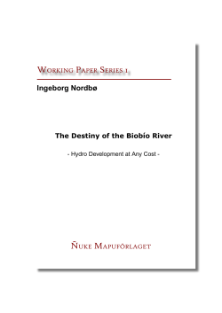 The Destiny of the Biob&iacute;o River