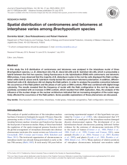 Spatial distribution of centromeres and telomeres