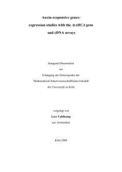 Auxin-responsive genes: expression studies with the AtARCA gene