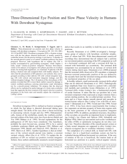 Three-Dimensional Eye Position and Slow Phase Velocity in