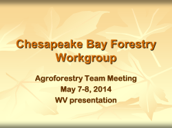 Agroforestry: What Does It Mean to YOU