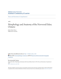 Morphology and Anatomy of the Norwood Esker, Ontario