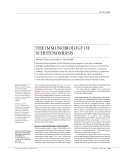 the immunobiology of schistosomiasis