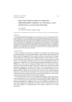 the fine structure of meiotic chromosome pairing in natural and