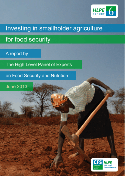 Investing in smallholder agriculture for food security