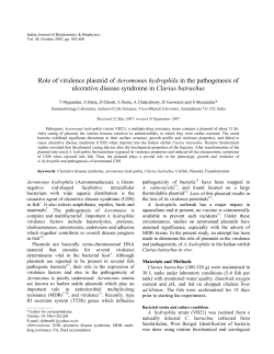 Role of virulence plasmid of Aeromonas hydrophila in the