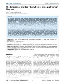 The Emergence and Early Evolution of Biological Carbon