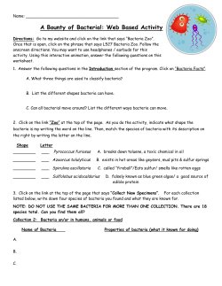 A Bounty of Bacteria Worksheet