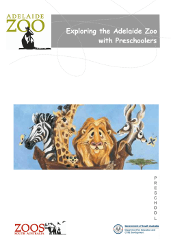 Exploring the Adelaide Zoo with Preschoolers