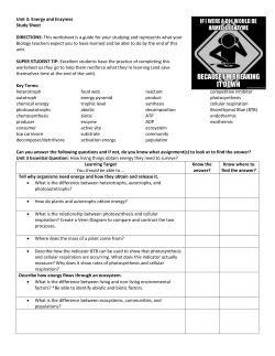 Unit 3: Energy and Enzymes Study Sheet DIRECTIONS: This