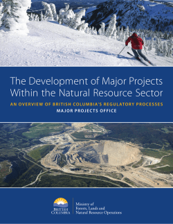 The Development of Major Projects Within the Natural Resource