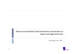 Natural and Synthetic lipid membrane nanovesicles to repair and