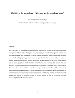 Plasticity of the human brain - &ldquo; We never use the same brain twice&rdquo;