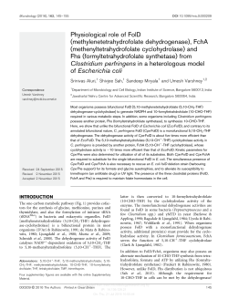 Physiological role of FolD - MCBL
