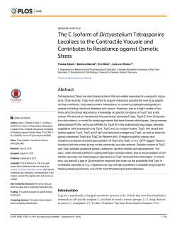 The C Isoform of Dictyostelium Tetraspanins Localizes