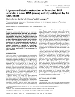 Ligase-mediated construction of branched DNA