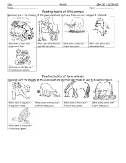 Grade 1 Science Learning Sheet WHW 2016-2017